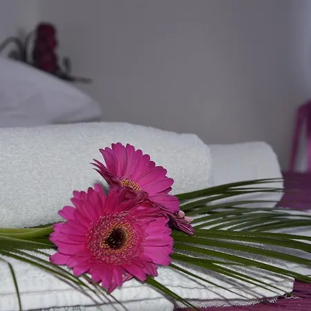 Apartment Mezzosole Riva del Garda